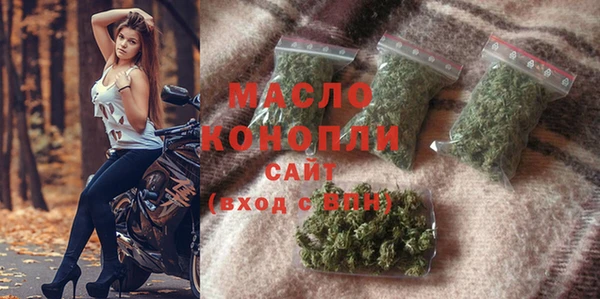 мдпв Кизел
