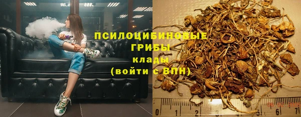 каннабис Аркадак
