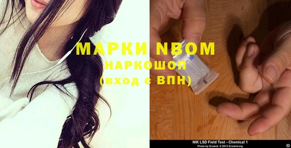 прущие грибы Валдай