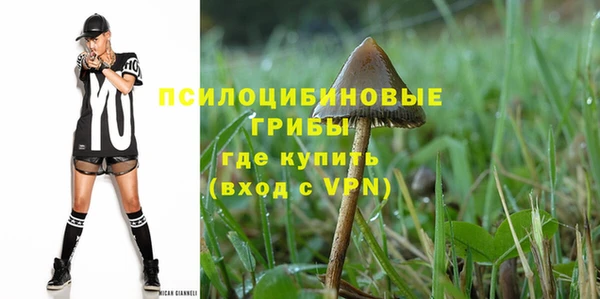 гидропоника Кемь